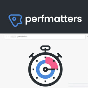 Perfmatters 1.8.5– WordPress性能插件